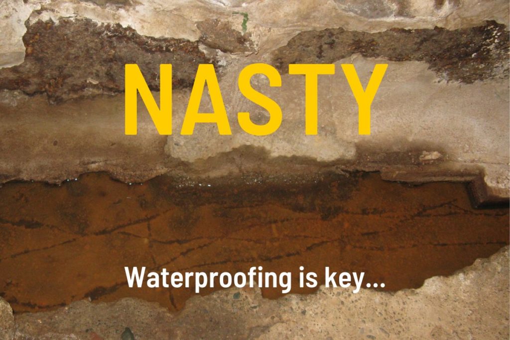 Water pooling at the base of foundation wall with the word nasty